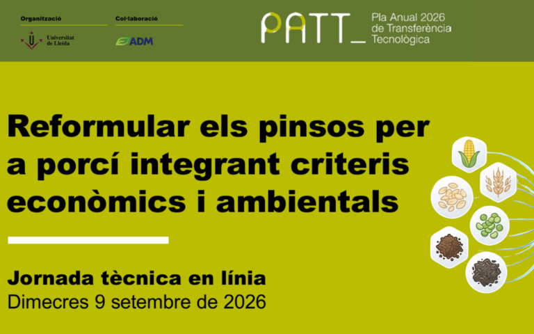 Copia-de-PLANTILLA-PRESENTACIO-UdL_-FER-SEMPRE-UNA-COPIA